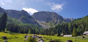 Pogled na Raduho  pri Koči na Grohatu